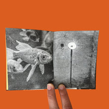 Load image into Gallery viewer, Kawabata, the Writer, the Travesti Philosopher, and the Fish
