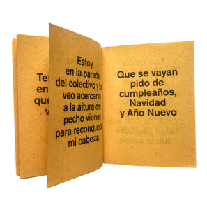 Que no vuelva nunca más (2da edición)-Fernanda Laguna